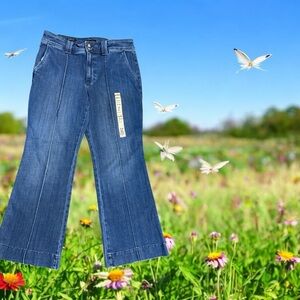 Talbots Blue Flare Leg Jeans